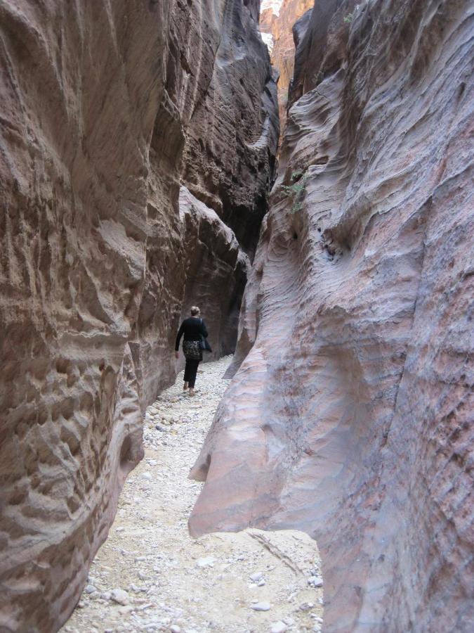 The Rock Camp Petra Hotel Wadi Musa Exterior foto